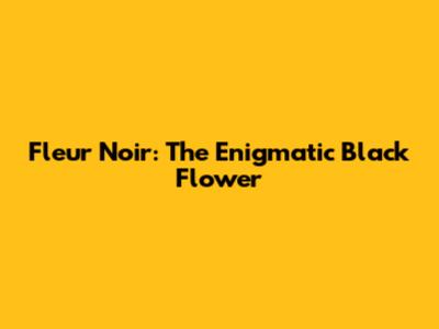 Fleur Noir: The Enigmatic Black Flower