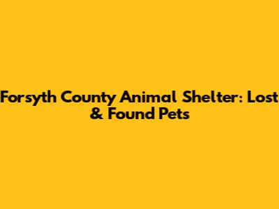 Forsyth County Animal Shelter: Lost & Found Pets