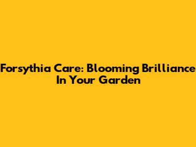 Forsythia Care: Blooming Brilliance In Your Garden