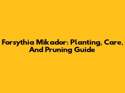 Forsythia Mikador: Planting, Care, And Pruning Guide