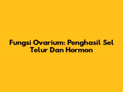 Fungsi Ovarium: Penghasil Sel Telur Dan Hormon