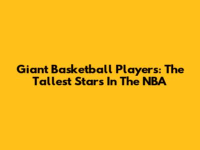 Giant Basketball Players: The Tallest Stars In The NBA