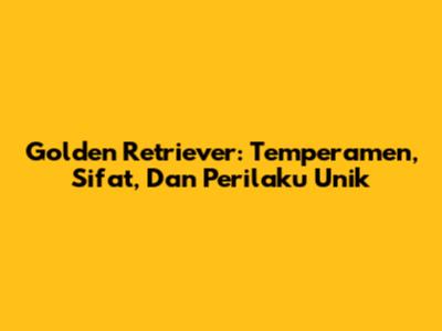 Golden Retriever: Temperamen, Sifat, Dan Perilaku Unik