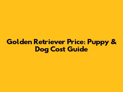 Golden Retriever Price: Puppy & Dog Cost Guide