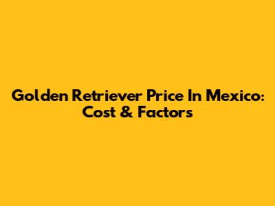 Golden Retriever Price In Mexico: Cost & Factors