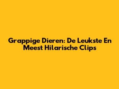 Grappige Dieren: De Leukste En Meest Hilarische Clips
