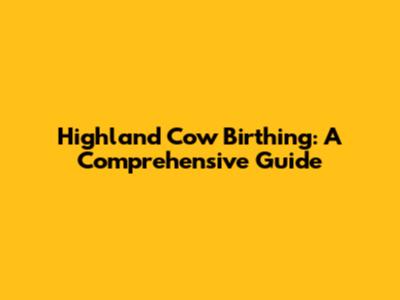 Highland Cow Birthing: A Comprehensive Guide
