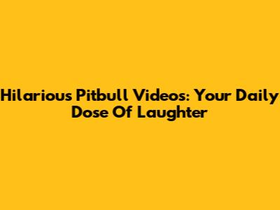Hilarious Pitbull Videos: Your Daily Dose Of Laughter