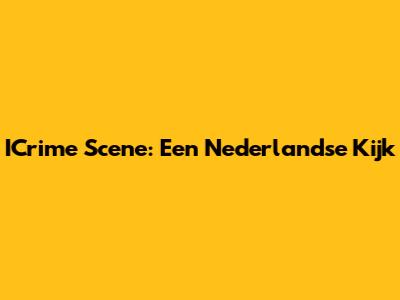 ICrime Scene: Een Nederlandse Kijk