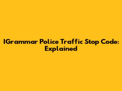 IGrammar Police Traffic Stop Code: Explained
