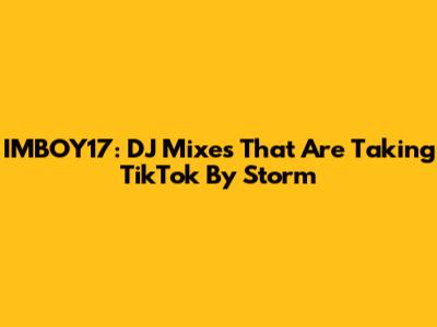 IMBOY17: DJ Mixes That Are Taking TikTok By Storm