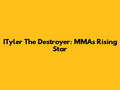 ITyler The Destroyer: MMA's Rising Star