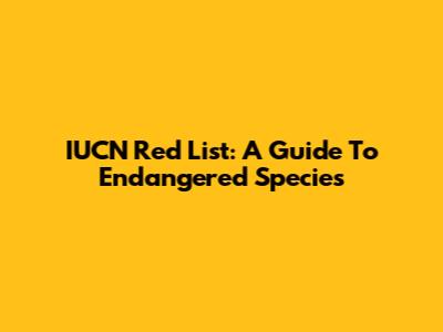 IUCN Red List: A Guide To Endangered Species