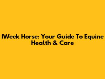 IWeek Horse: Your Guide To Equine Health & Care