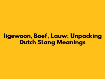 Iigewoon, Boef, Lauw: Unpacking Dutch Slang Meanings