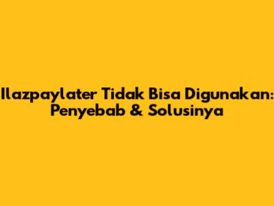 Ilazpaylater Tidak Bisa Digunakan: Penyebab & Solusinya