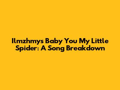 Ilmzhmy's 'Baby You My Little Spider': A Song Breakdown