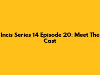 Incis Series 14 Episode 20: Meet The Cast
