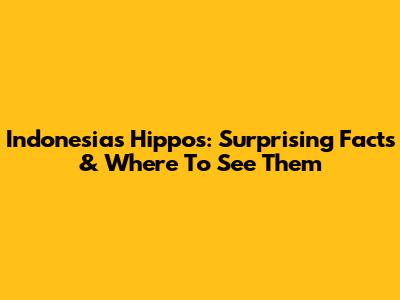 Indonesia's Hippos: Surprising Facts & Where To See Them