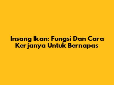 Insang Ikan: Fungsi Dan Cara Kerjanya Untuk Bernapas