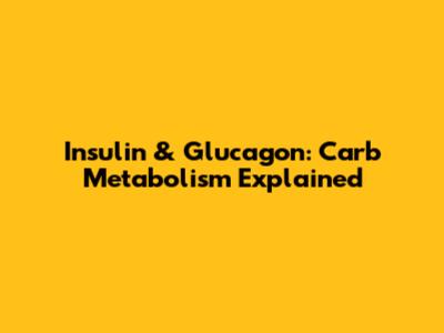 Insulin & Glucagon: Carb Metabolism Explained