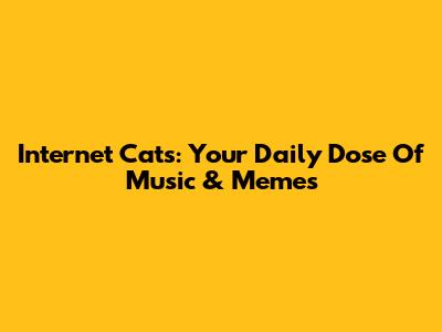 Internet Cats: Your Daily Dose Of Music & Memes