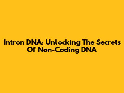 Intron DNA: Unlocking The Secrets Of Non-Coding DNA