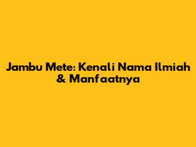 Jambu Mete: Kenali Nama Ilmiah & Manfaatnya