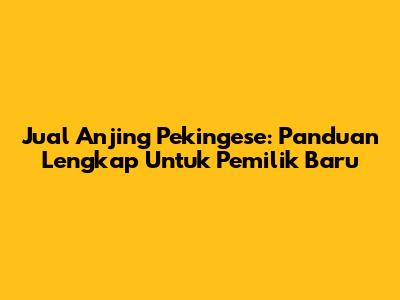 Jual Anjing Pekingese: Panduan Lengkap Untuk Pemilik Baru