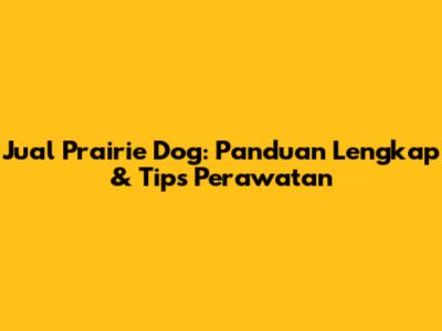 Jual Prairie Dog: Panduan Lengkap & Tips Perawatan