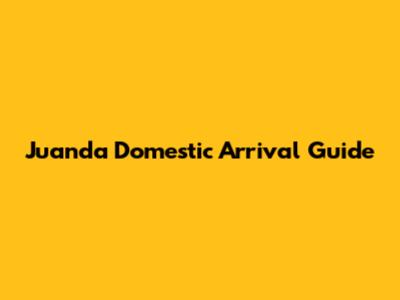 Juanda Domestic Arrival Guide