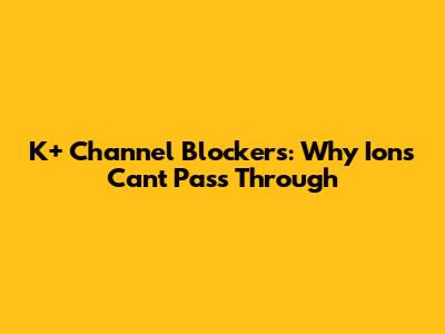 K+ Channel Blockers: Why Ions Can't Pass Through