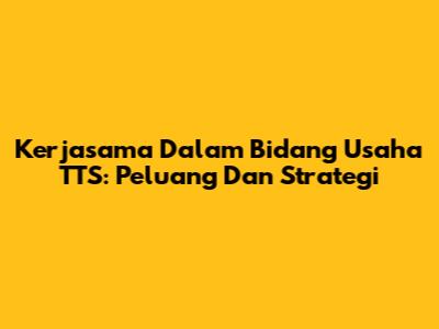 Kerjasama Dalam Bidang Usaha TTS: Peluang Dan Strategi