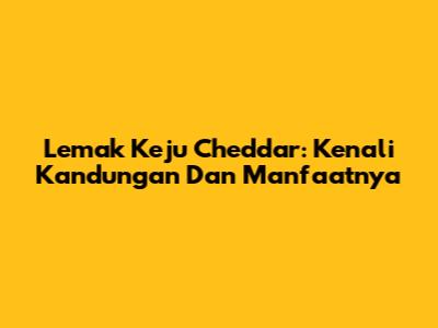 Lemak Keju Cheddar: Kenali Kandungan Dan Manfaatnya