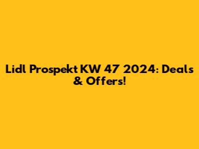Lidl Prospekt KW 47 2024: Deals & Offers!