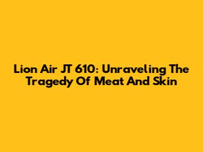 Lion Air JT 610: Unraveling The Tragedy Of Meat And Skin
