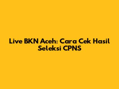 Live BKN Aceh: Cara Cek Hasil Seleksi CPNS