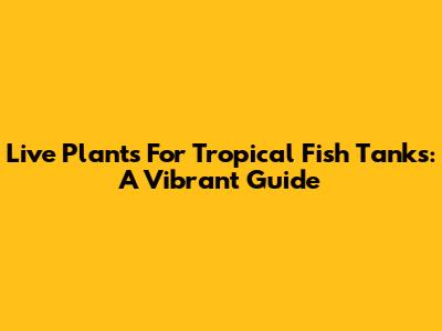 Live Plants For Tropical Fish Tanks: A Vibrant Guide