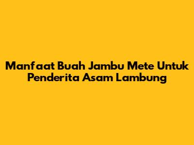 Manfaat Buah Jambu Mete Untuk Penderita Asam Lambung