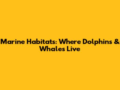 Marine Habitats: Where Dolphins & Whales Live