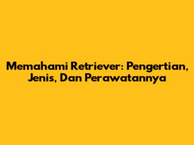 Memahami Retriever: Pengertian, Jenis, Dan Perawatannya