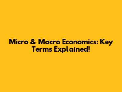 Micro & Macro Economics: Key Terms Explained!