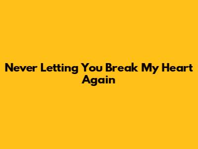 Never Letting You Break My Heart Again