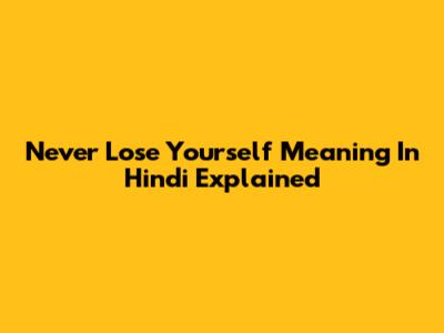 Never Lose Yourself Meaning In Hindi Explained
