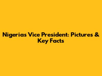 Nigeria's Vice President: Pictures & Key Facts