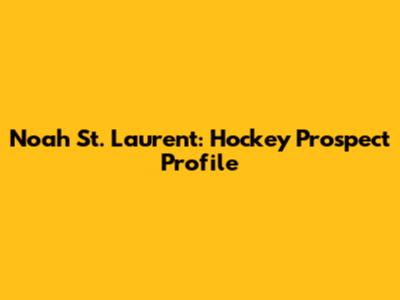 Noah St. Laurent: Hockey Prospect Profile