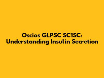 Oscios GLPSC SC1SC: Understanding Insulin Secretion