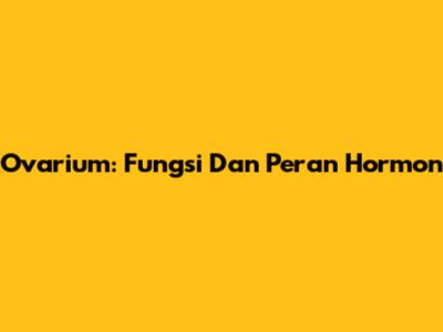 Ovarium: Fungsi Dan Peran Hormon