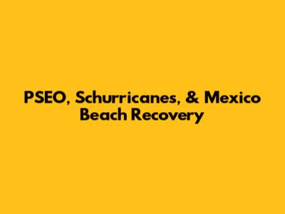 PSEO, Schurricanes, & Mexico Beach Recovery