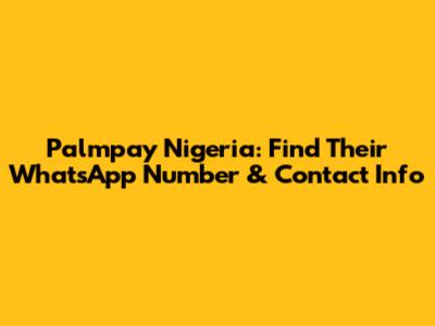 Palmpay Nigeria: Find Their WhatsApp Number & Contact Info
